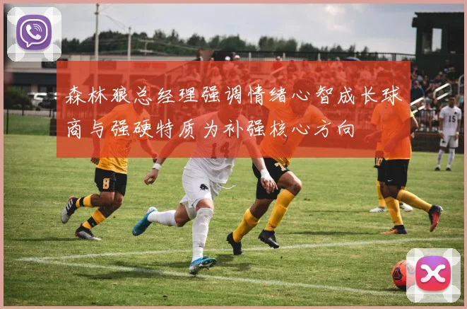 森林狼总经理强调情绪心智成长球商与强硬特质为补强核心方向