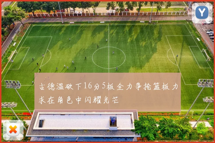 古德温砍下16分5板全力争抢篮板力求在角色中闪耀光芒