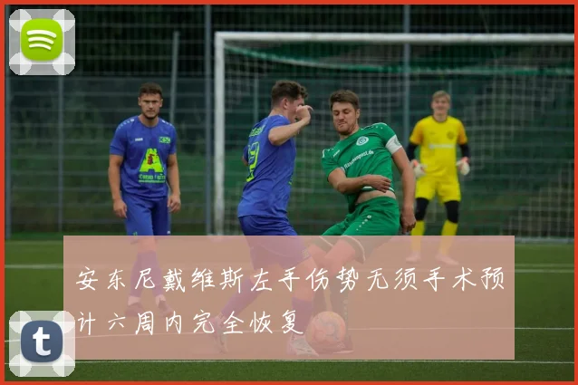 安东尼戴维斯左手伤势无须手术预计六周内完全恢复